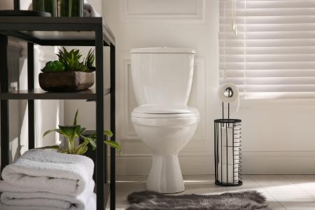 Toilet Repair & Replacement Thumbnail